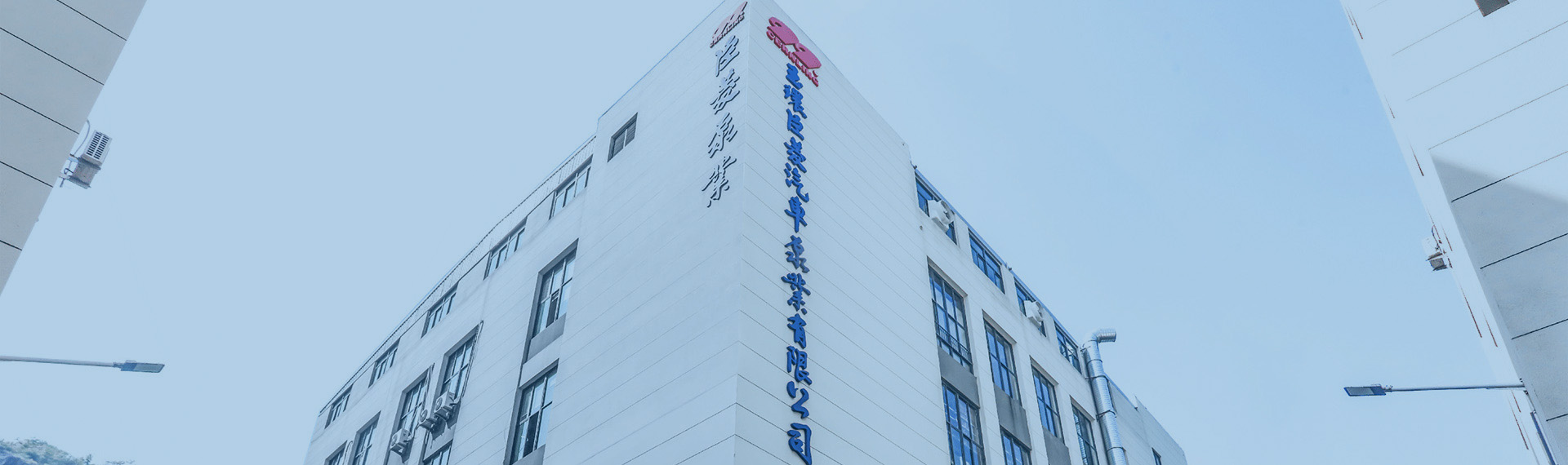 关于臣菱